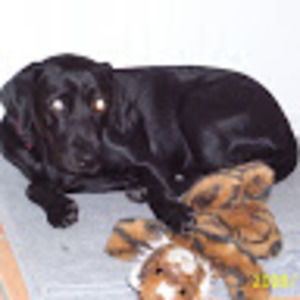 Meet your Posher, Lee